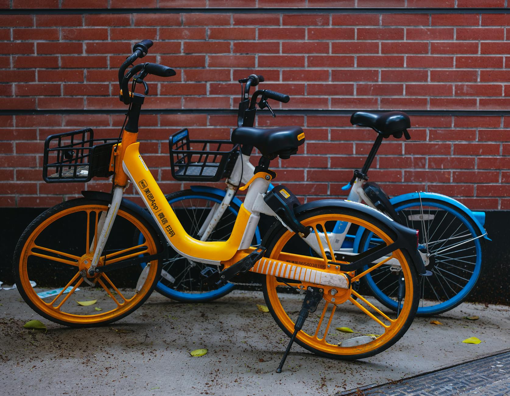 electric bikes by wall