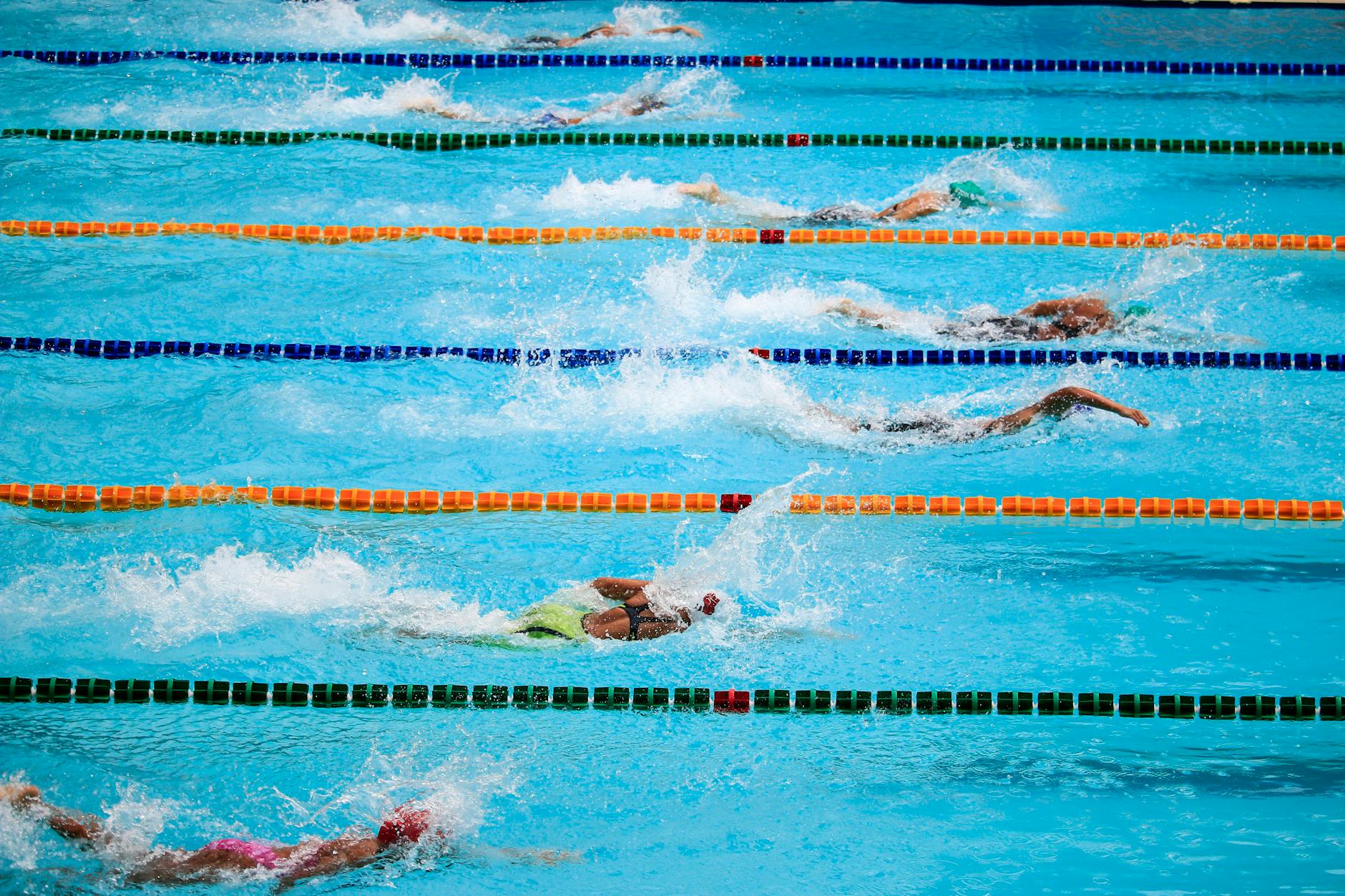 people doing swim race