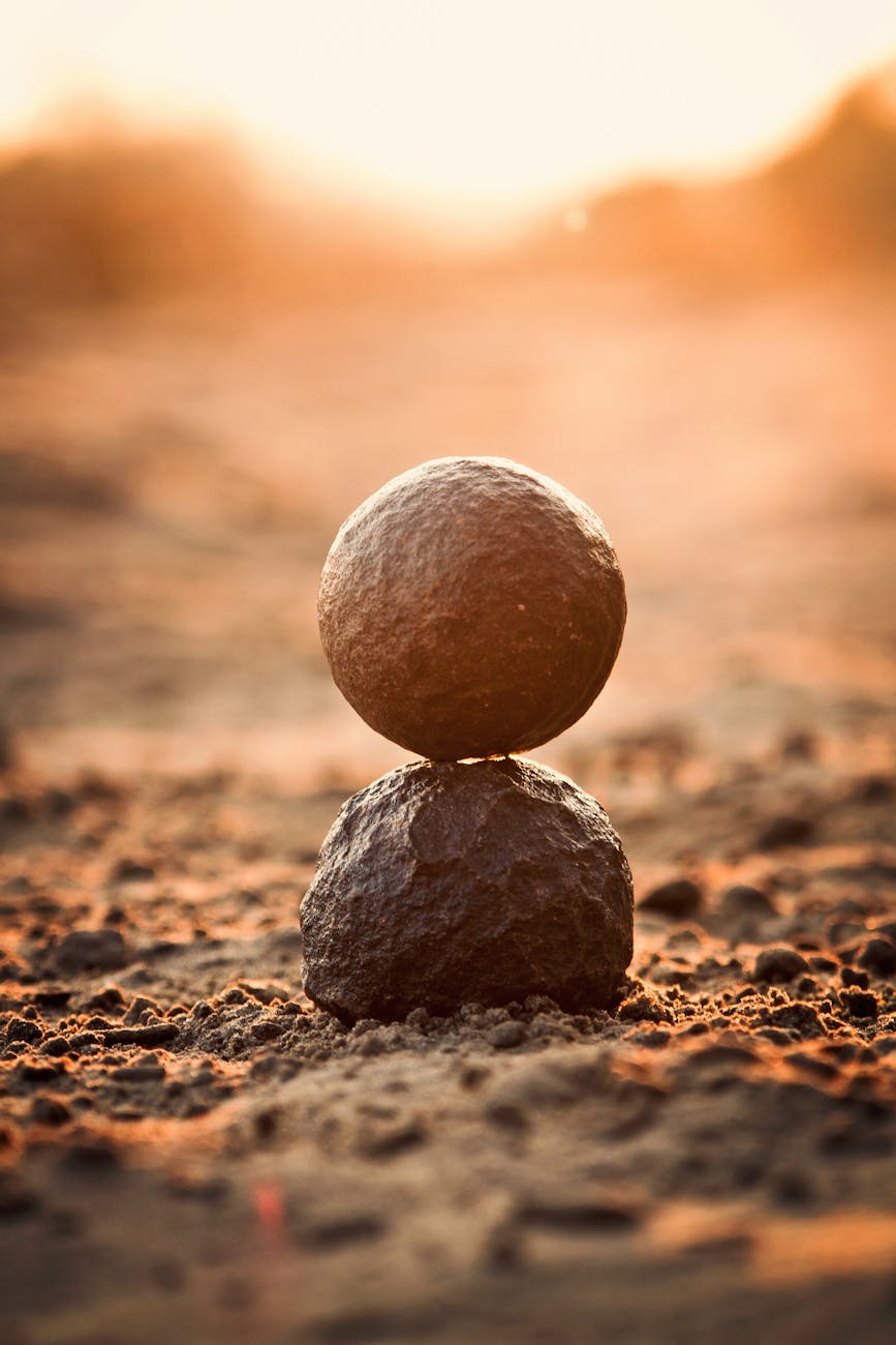 selective focus photography of round black rock